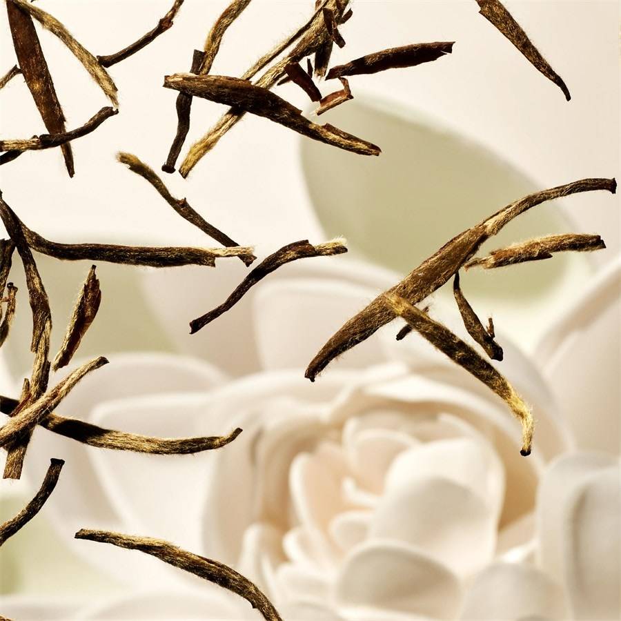 RITUALS The Ritual Of Karma Online