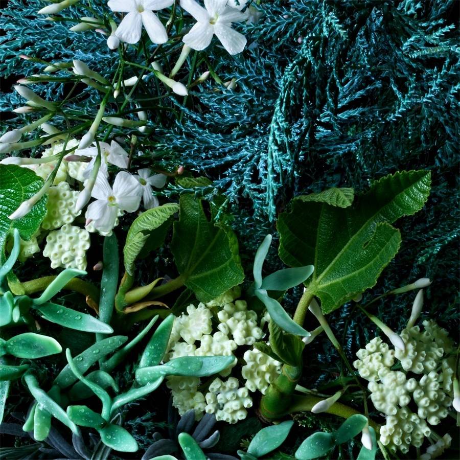 Molton-Brown Coastal Cypress & Sea Fennel Meist gekauft