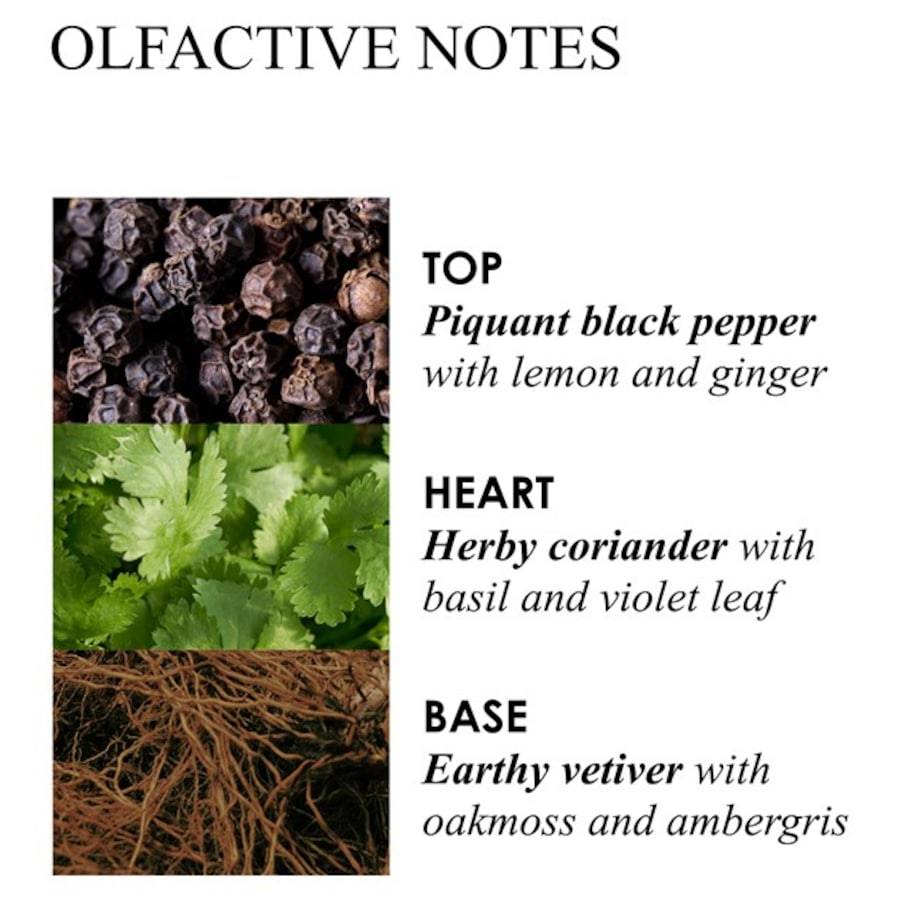 Molton-Brown Re-Charge Black Pepper Angebote