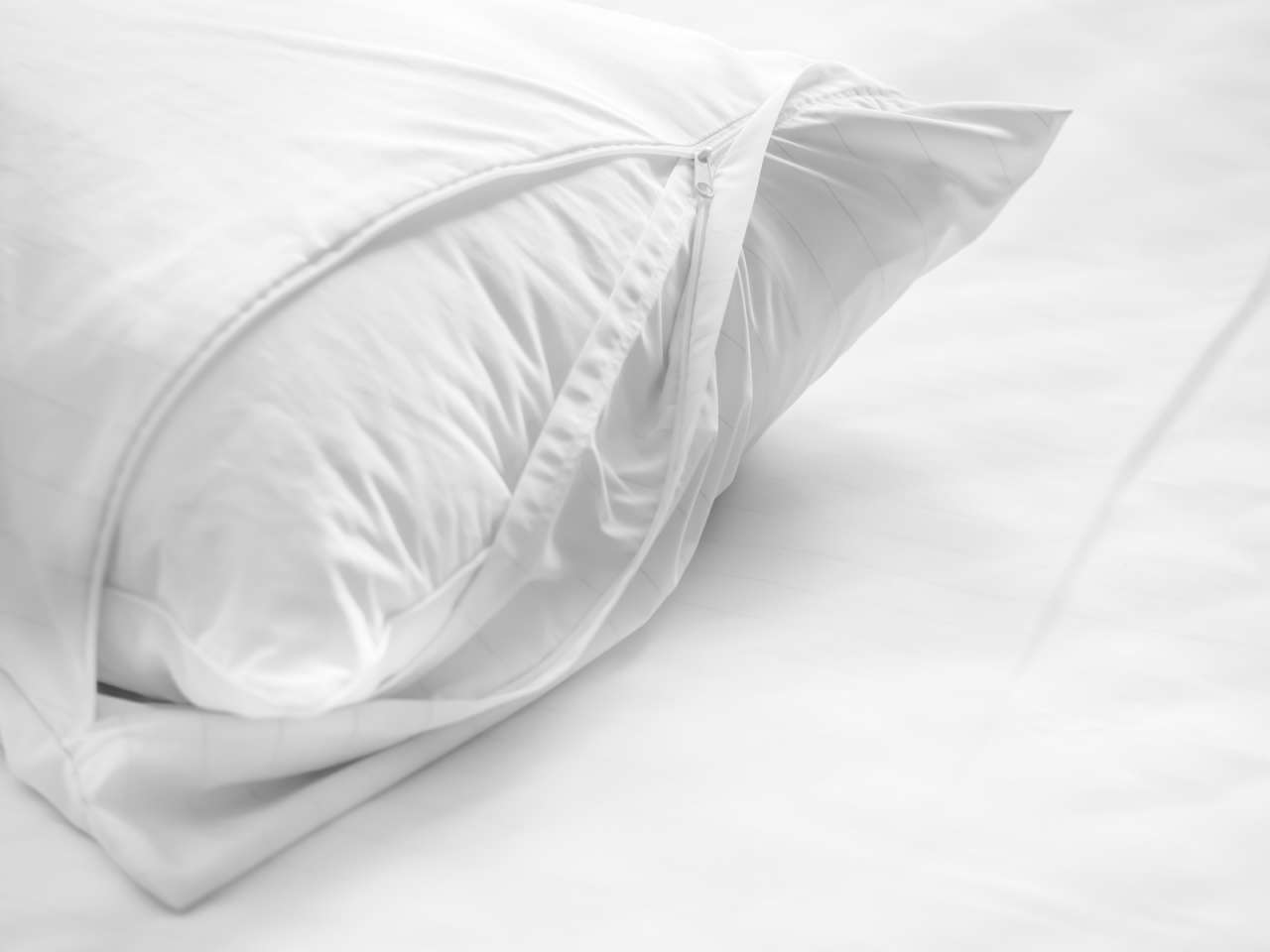 allermed Allermed Encasing pillow mite cover pillow Angebote