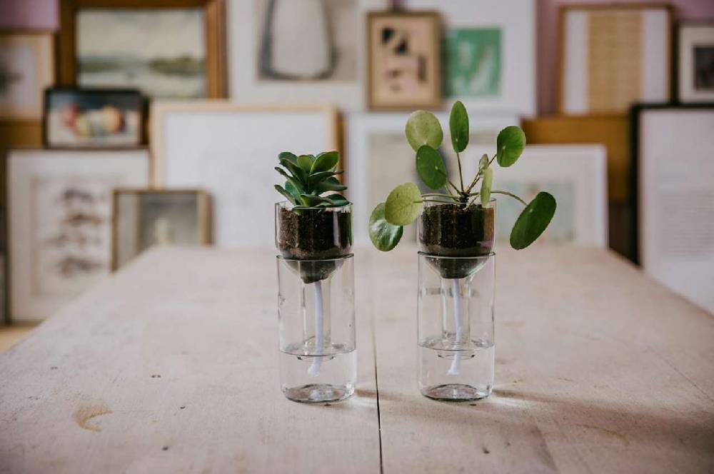 side-by-side Side by Side flower pot self watering Outlet