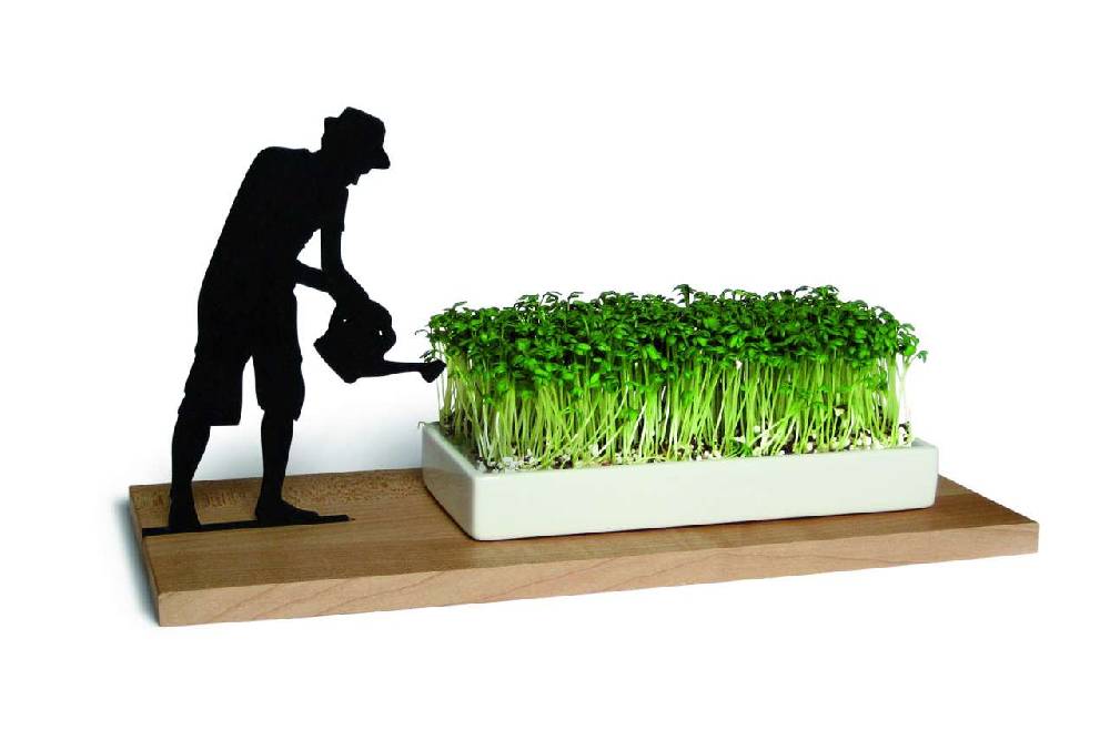 side-by-side Cress Dish "Smart & Green" Nur für heute