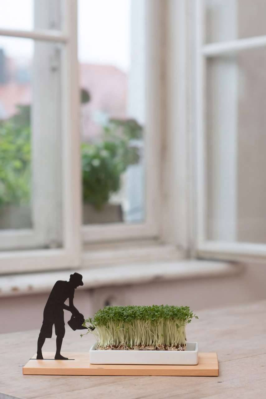 side-by-side Cress Dish "Smart & Green" Nur für heute