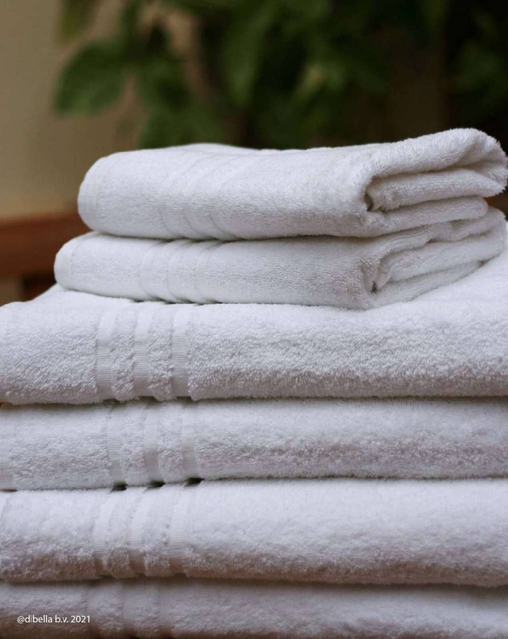 purenature Terry cloth hand towel 50x100 cm white, made from organic cotton zollfrei