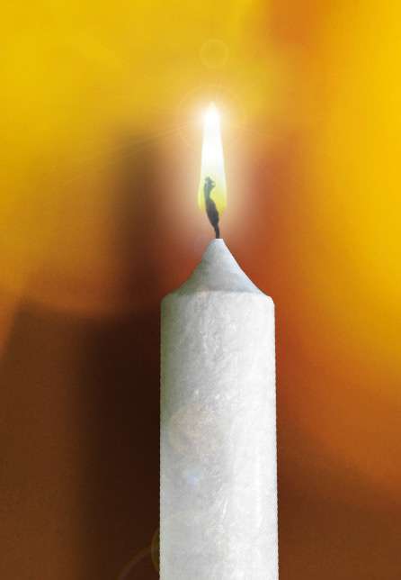 purenature Stearin Stick Candle (Set of 4) champagne Outlet