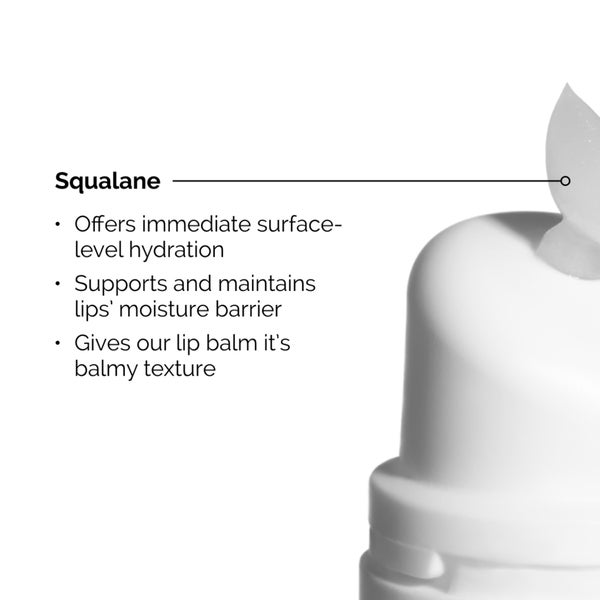 The Ordinary Squalane and Amino Acids Lip Balm 15ml Angebote