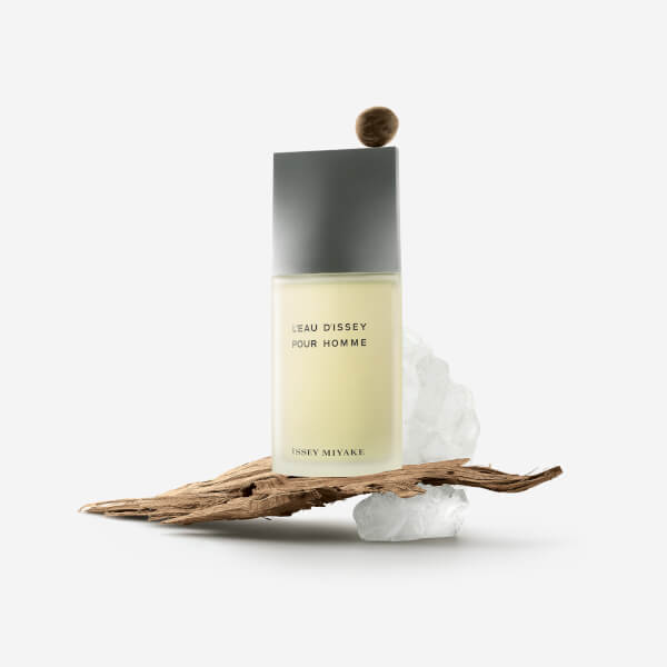 Issey Miyake L'Eau d'Issey Pour Homme Eau de Toilette 75ml Schlussverkauf
