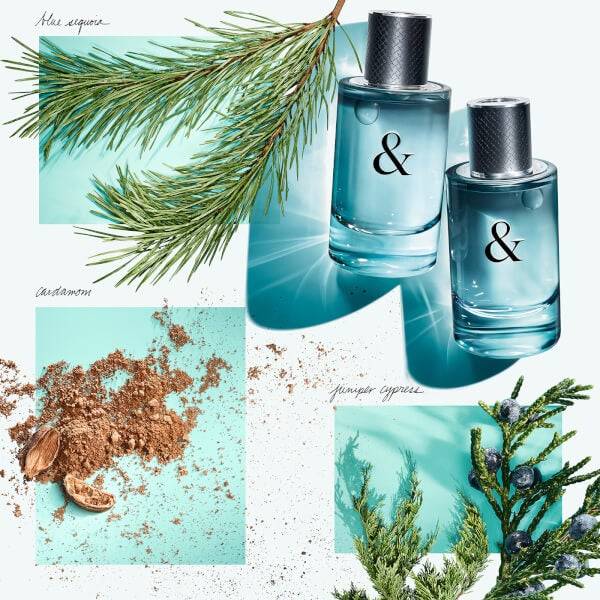 Tiffany & Co. & Love for Him Eau de Toilette 90ml Begrenzte Freigabe