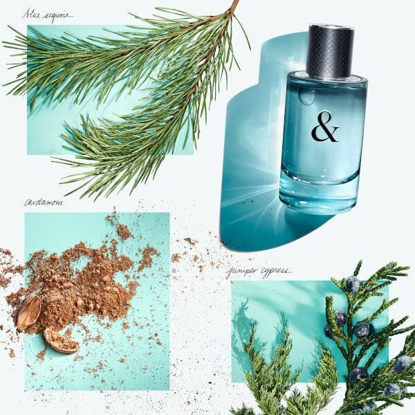 Tiffany & Co. & Love for Him Eau de Toilette 50ml Wochenangebot