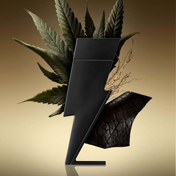 Carolina Herrera Bad Boy Eau de Parfum 50ml JETZT KAUFEN