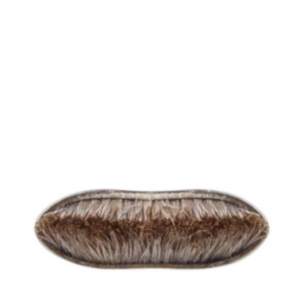 MAC 263 Small Angle Brush Kostenloser Versand international