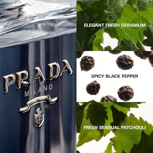Prada L'Homme L'Eau de Toilette - 50ml Nur für heute