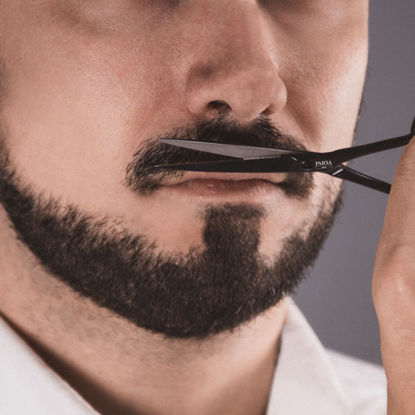 Parsa Beauty PARSA Men Bartpflege-Set 4-teilig Fabrikverkauf