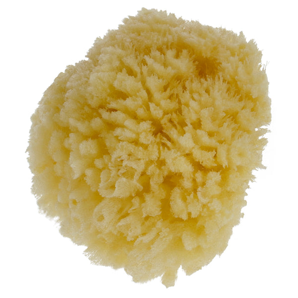 Parsa Beauty PARSA Baby Naturmeeresschwamm Mini