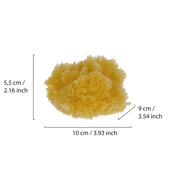 Parsa Beauty PARSA Baby Naturmeeresschwamm Mini Fabrikverkauf
