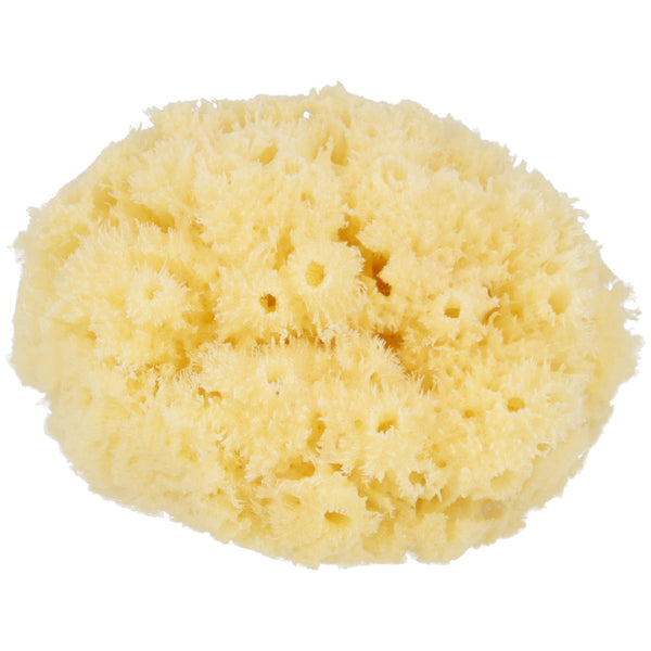 Parsa Beauty PARSA Baby Naturmeeresschwamm Mini Fabrikverkauf
