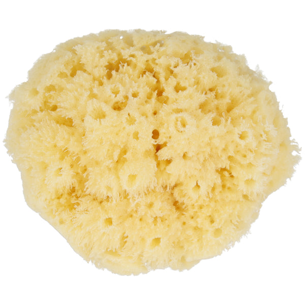 Parsa Beauty PARSA Baby Naturmeeresschwamm Mini Fabrikverkauf