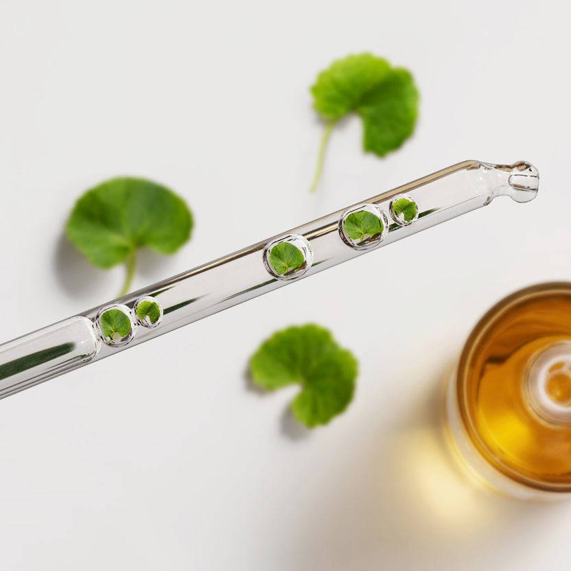 SKIN1004 Madagascar Centella Ampoule (100ml) Blitzverkäufe
