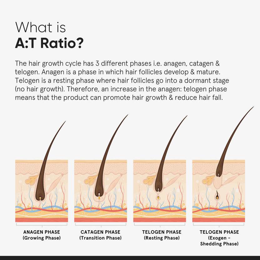 Minimalist Hair Growth Actives 18% Hair Serum (30ml) Meist gekauft