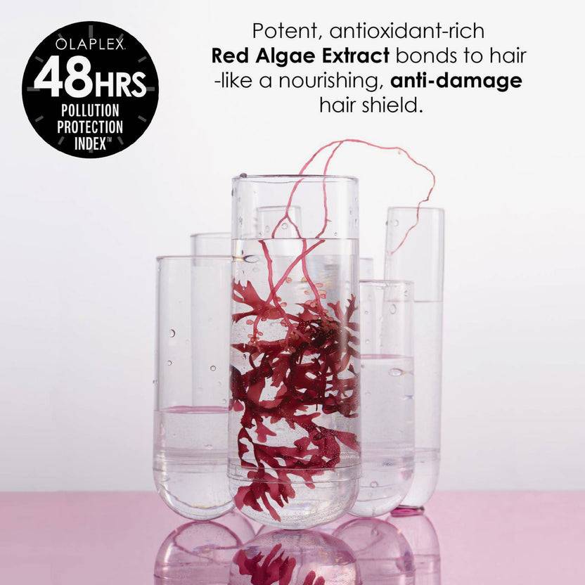 OLAPLEX Ultimate Repair Mini Set (255ml) Versandkostenfrei