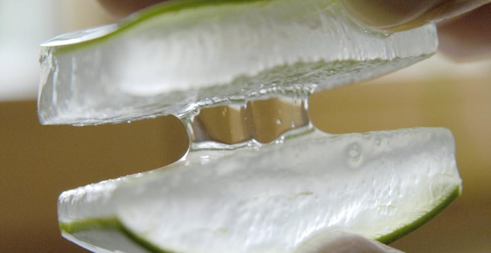 Pharmos Natur Aloe Vera BioUrsaft Kurpackung Nur noch ein Tag übrig